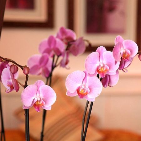 Castel De Siam Hotel Houlgate Bagian luar foto